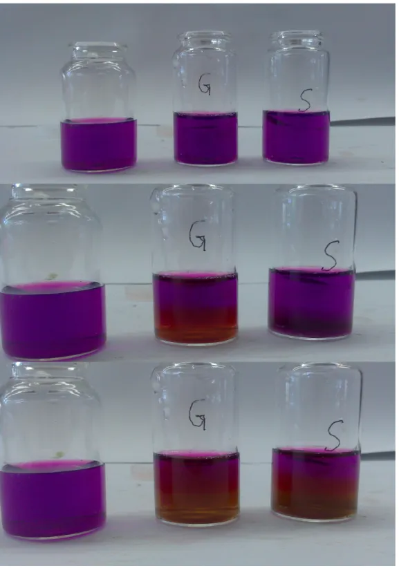 Abb.   3   –   Links:   Blindprobe,   Mitte:   Glucoselösung,   Rechts:   Saccharoselösung,   jeweils   mit Kaliumpermanganat und einer Spatelspitze Natriumcarbonat am Boden