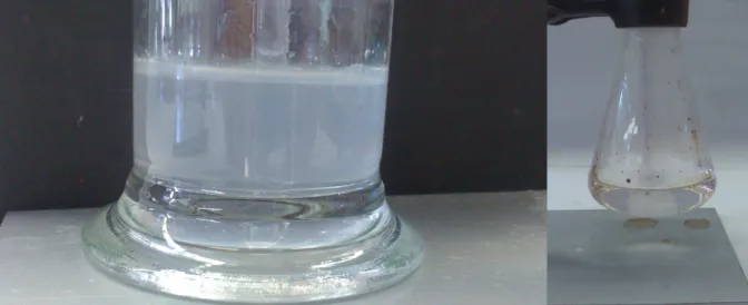 Abb. 4 – Versuchsaufbau der Glucose-Oxidation. Links: Erlenmeyerkolben mit Glucose, Kaliumpermanganat  und Schwefelsäure, Rechts: Waschflasche mit Kalkwasser