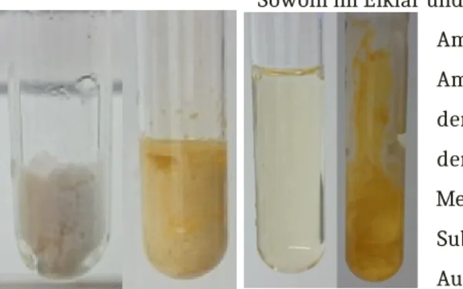 Abbildung 4: Proteinpulver,  links vorher, rechts nachher.