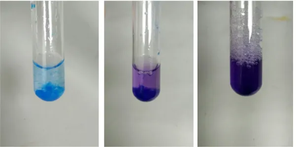 Abb. 1:  Blindprobe mit hellblauem Kupfer(II)-hydroxid-Niederschlag (links), Kupfer(II)-hydroxid-Niederschlag unter Anwesenheit von Peptidbindungen (mittig)