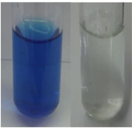 Abb. 9 -  Wasser mit Tinte (links) und Wasser mit Tinte und Natriumdithionit.