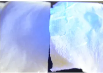Abb. 5 -  Unbehandeltes (links) und behandeltes (rechts)  Taschentuch unter UV-Licht.