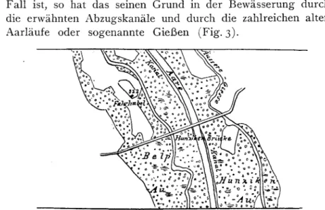Fig. 3.! Charakteristische Partie an der Hunzikenbrücke mit korrigierter Aare, Gießen, Kanälen und Auenwäldern.
