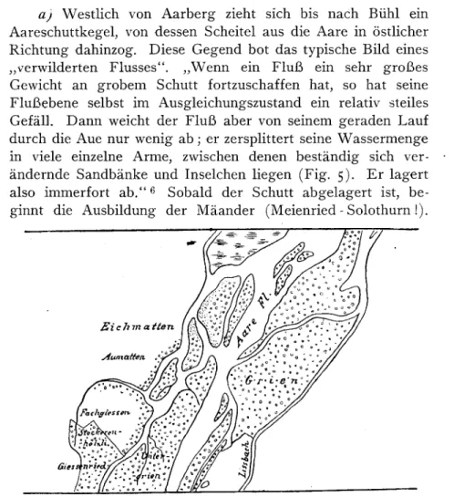 Fig. 5. Auenwälder zwischen Bußwyl und Lyß.