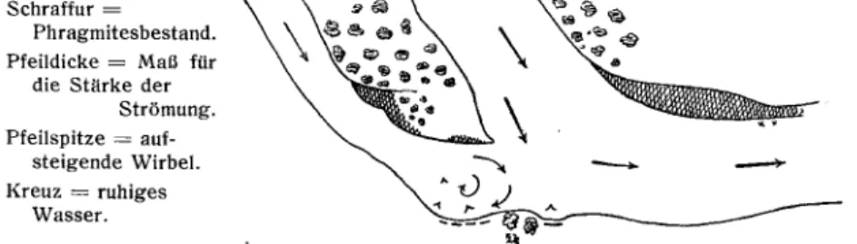 Fig. 8. Erosionsufer von zirka 10 m Höhe an der Aare oberhalb Dulliken