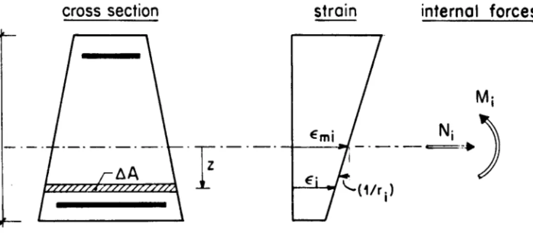 Fig. 3: Cross section, strain distribution and forces