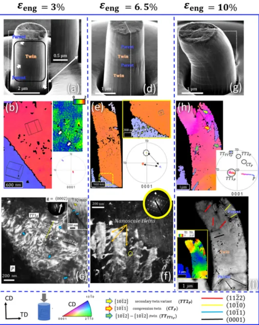 Fig.  4. (a, d, g) SEM  images of ZX10 micropillars  deformed to (a) 3%, (d) 6.5% and (g) 10% engineering strain  under  c-axis extension  