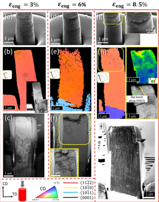 Fig.  6. (a,  d, g)  SEM  images of ZX10 micropillars  deformed to (a) 3%, (d)  6%  and  (g) 8.5% engineering strain under  c-axis compression  