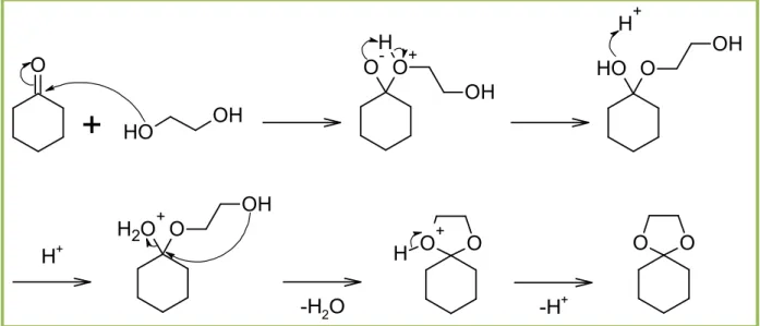 Abbildung 61 Mechanismus zur Bildung eines Acetals aus Cyclohexanon und Ethylenglykol