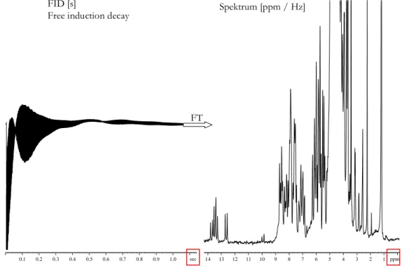 Abbildung 2.10: FID und dazugehöriges 1D  1 H-Spektrum eines RNA Moleküls bei 600MHz 