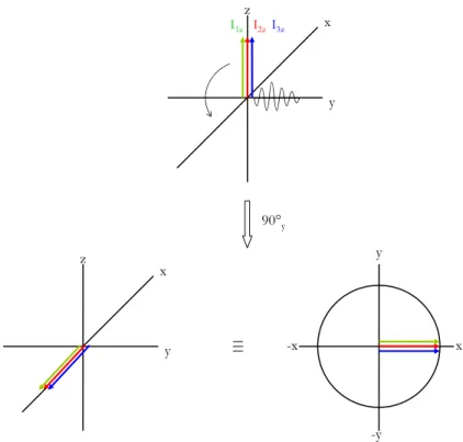 Abbildung 2.4: Wirkung des 90° y  –Pulses auf 3 ungekoppelte Spins im Vektorformalismus 