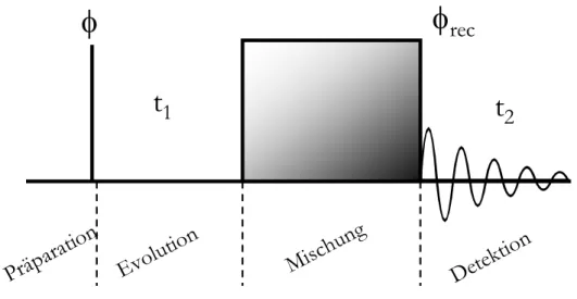 Abbildung 3.3: Genereller Aufbau eines zweidimensionalen Experimentes; mit  werden die Phasen der Pulse (also  die Richtung aus der die Pulse angewendet werden) bezeichnet