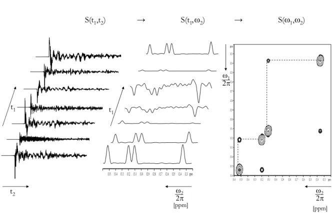 Abb. 3.4 mitte) und erkennt, dass die Signale in der ersten Dimension moduliert sind. Es ist  daher möglich, die Spektren entlang der ersten Dimension ebenfalls zu transformieren