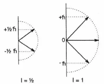 Abbildung 5: Die Beziehung zwischen dem magnetischen Feld B, dem magnetischen Moment  µr  und der Komponente des magnetischen Moments entlang der z-Achse µ z 