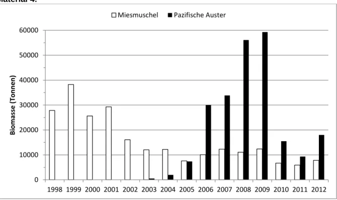 Abb. 4a:  Entwicklung der Gesamtbiomasse der Pazifischen Auster und der Miesmuschel im Schles- Schles-wig-Holsteinischen Wattenmeer