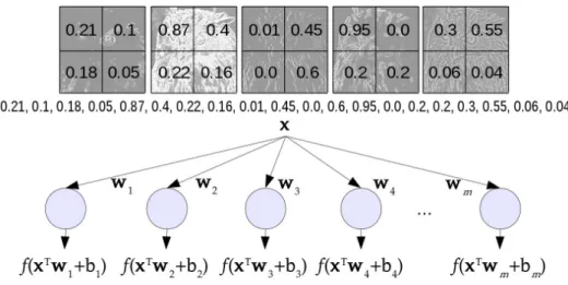 Figure 4. Illustration of a transition between a convolutional and a fully connected layer: the values of all 5 activation/feature maps of size 2 × 2 are concatenated in a vector x and neurons in the fully connected layer will have full connections to all 