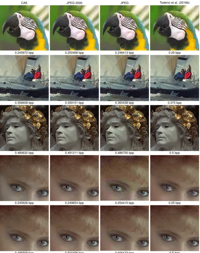 Figure 5: Closeups of images produced by different compression algorithms at relatively low bit rates
