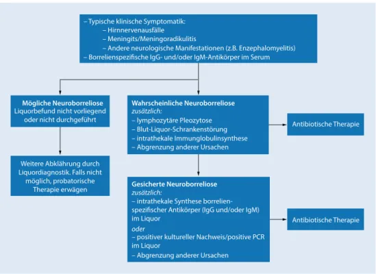 Abb. 1 8 In der Leitlinie Neuroborreliose der Deutschen Gesellschaft für Neurologie empfohlenes diagnostisches Vorgehen bei erwachsenen Patienten mit Verdacht auf eine Neuroborreliose