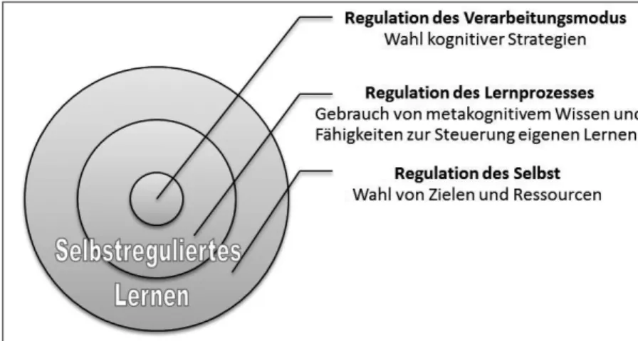 Abbildung 1: Drei-Schicht-Modell des selbstregulierten Lernens nach Boerkaerts (1999)