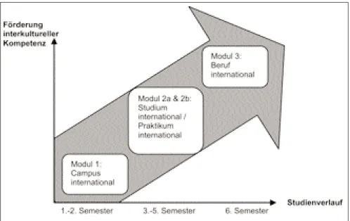 Abb. 1: Interkulturelle Trainingsmodule an der Universität Hildesheim (Bosse 2010b, S