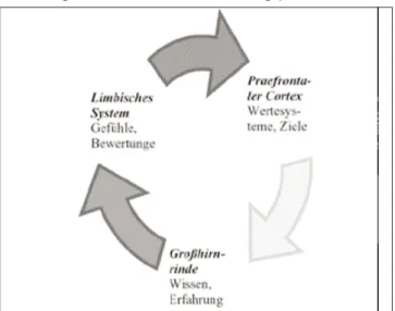 Abbildung 2: Parameter für Entscheidungsprozesse