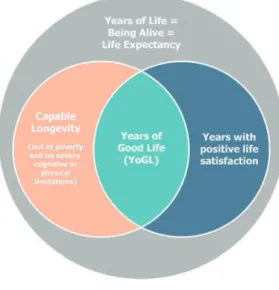 Figure 1 summarizes this structure  and basic logic of YoGL. The large  grey circle corresponds to the overall  years of life that summarize the life  expectancy of a person based on the  currently observed survival  condi-tions in the chosen (sub-) popula