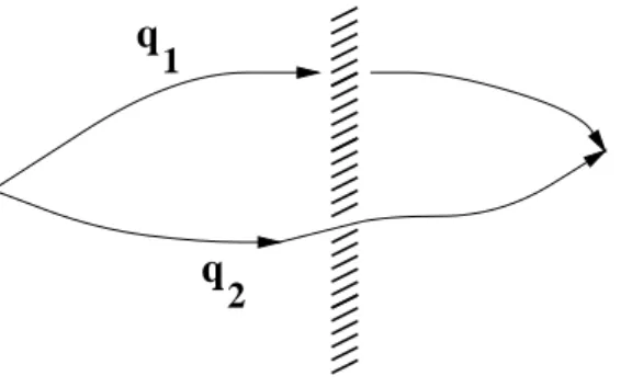 Figure 11: Paths contributing to the propagator in the presence of a monopole. The paths form a loop encircling the Dirac string.