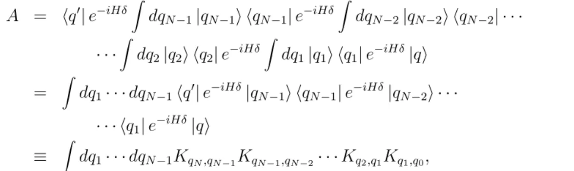 Figure 1: Amplitude as a sum over all N-legged paths.