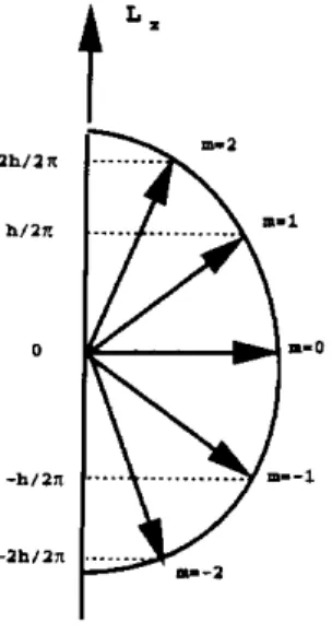 Fig. 6.1: The spatial quantization of the electron angular momentum for states l = 2, L = √