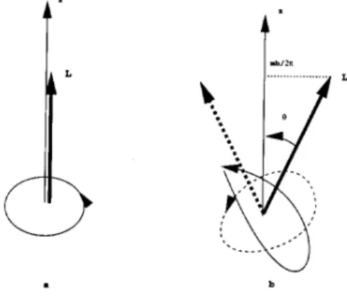 Fig. 6.2: The uncertainty principle forbids a fixed direction in space of the angular momentum.