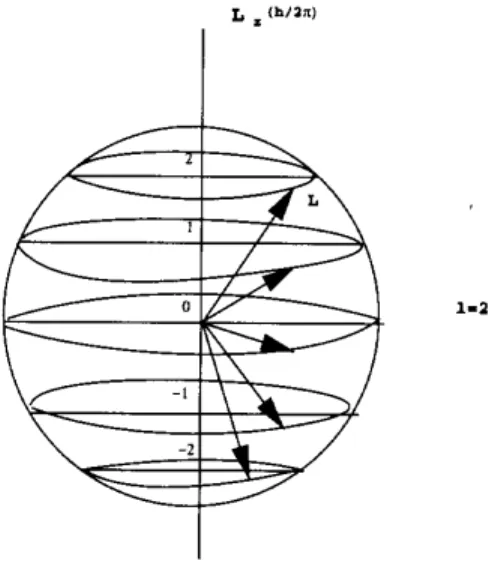 Fig. 6.3: The angular momentum displays a constant precession around the z axis.