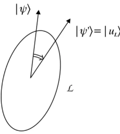 Abbildung 16: Reduktion des Zustandsvektors        durch eine Messung.