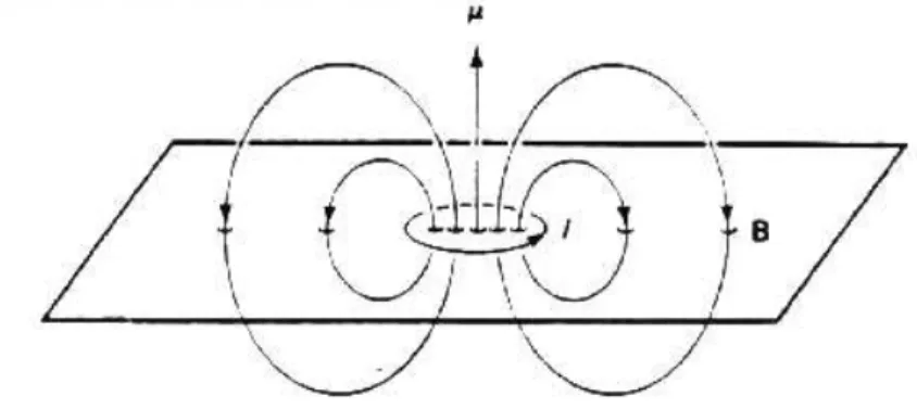 Figure 6: The eld of a magnetic dipole. All B eld lines cross the plane of the dipole going up inside the loop and down outside the loop.