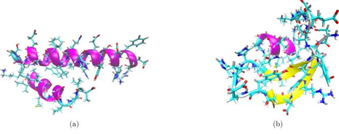 Abbildung 4: Darstellung der Amyloid-β Monomere nach der Simulation mit der gelade- gelade-nen Membran