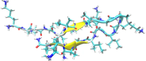 Abbildung 2: Darstellung des [KIGAKI] 3 -Peptids. Das β-Faltblatt ist durch die gelben Pfeile im Bild dargestellt