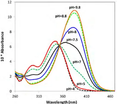 Abbildung 2.1: Experimentelle Absorptionsspektren von Esculetin in Abh¨ angigkeit vom pH-Wert (c = 5 · 10 −5 mol/L)