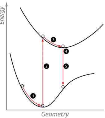 Abbildung 3: Schematische Darstellung der einzelnen Schritte zur Berech- Berech-nung von Absorption und Fluoreszenz mittels cLR.[22]