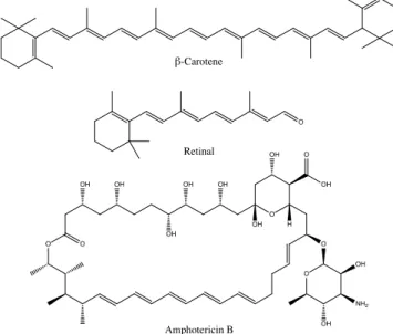 Figure 1.4: Different polyenic systems. β-carotene, retinal and the polyenic antibioticum amphotericin B.
