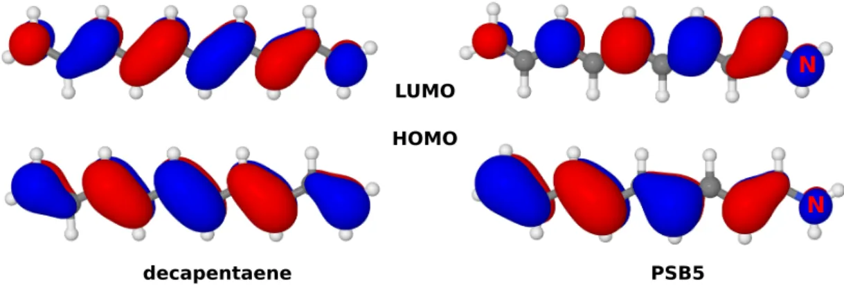 Figure 1.6: Highest occupied (HOMO) and lowest unoccupied (LUMO) molecular orbitals in decapentaene and the corresponding protonated Schiff base model PSB5.