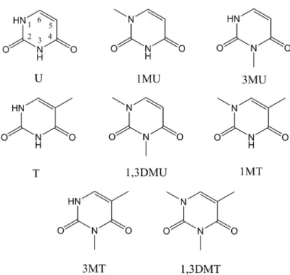 Figure 5.5: Chemical structures of methylated uracils and thymines. Atom labels are given for uracil.