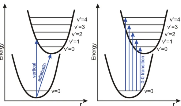 Figure 2.6.: Comparison between theoretical vertical and adiabatic excitation energies and vibrational absorption spectra (theoretical and experimental)
