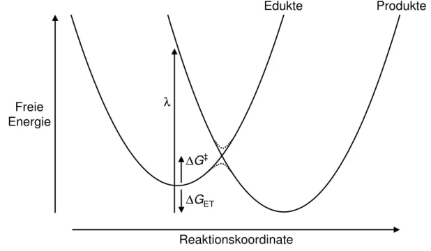 Abb. 2.5: Schematische Darstellung des Modells f¨ ur den Elektronentransfer nach Marcus (in Anlehnung an Ref
