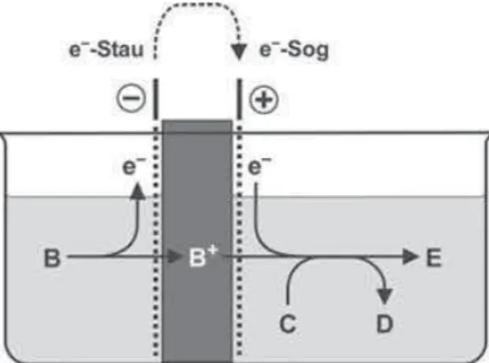 Abb. 4.6: Kopplung zweier räumlich getrennter Reakti- Reakti-onen durch ElektrReakti-onen als gemeinsamer  Reaktionspart-ner 