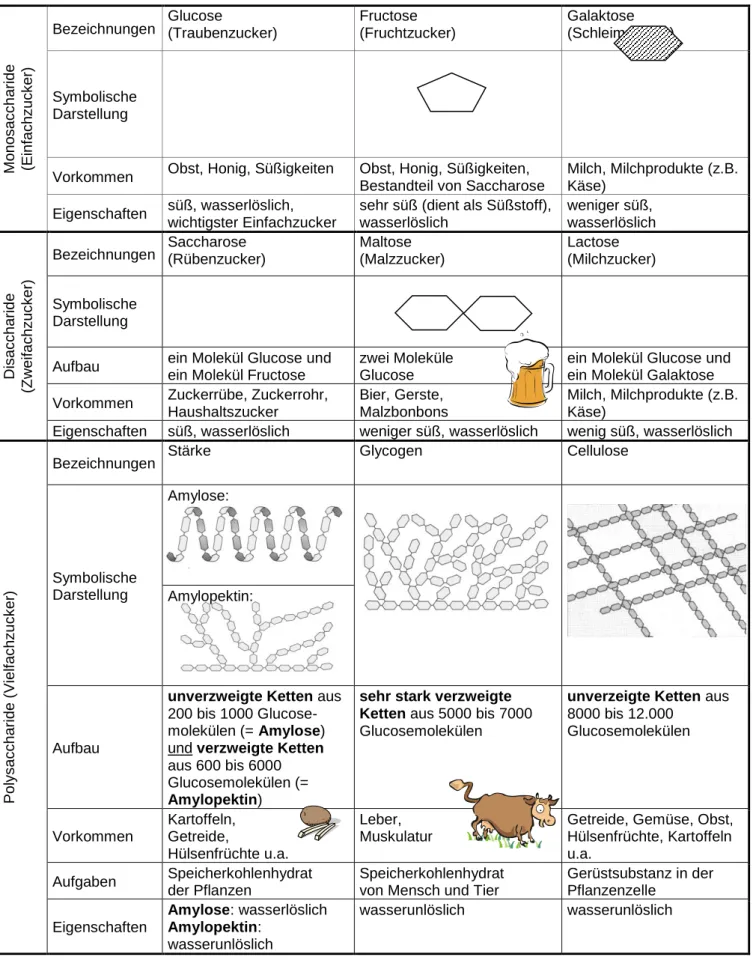 Tabelle 1: Einteilung, Aufbau, Eigenschaften, Vorkommen der Kohlenhydrate 