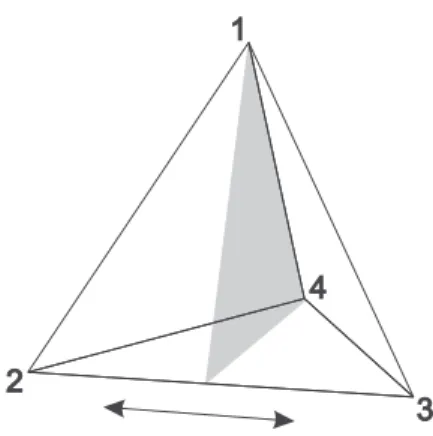 Abbildung 3.4: Eine Spiegelsymmetrie des Tetraeders