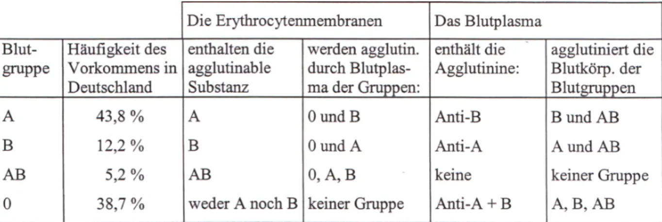 Abb. 6: Blutgruppenschema 