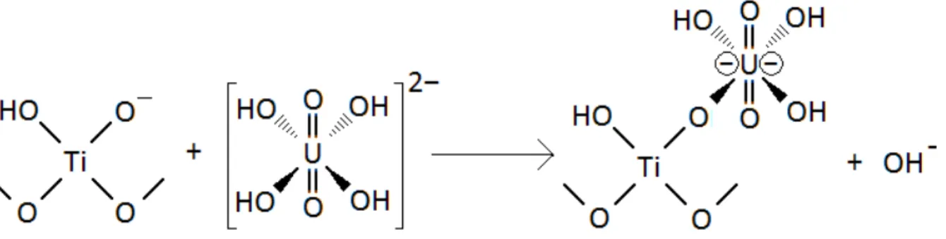 Abbildung  5:  Bindung  des  [UO 2 (OH) 4 ] 2− -Komplexes  an  die  Oberfläche  von  TiO 2   in  wässriger  Lösung  (H 2 O-Moleküle nicht dargestellt)