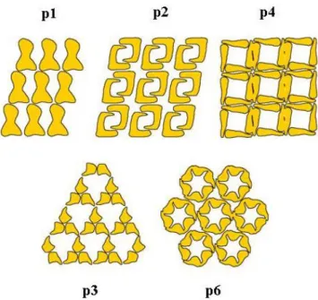 Figure I2.  Schematic illustration of possible S-layer lattice symmetries.  