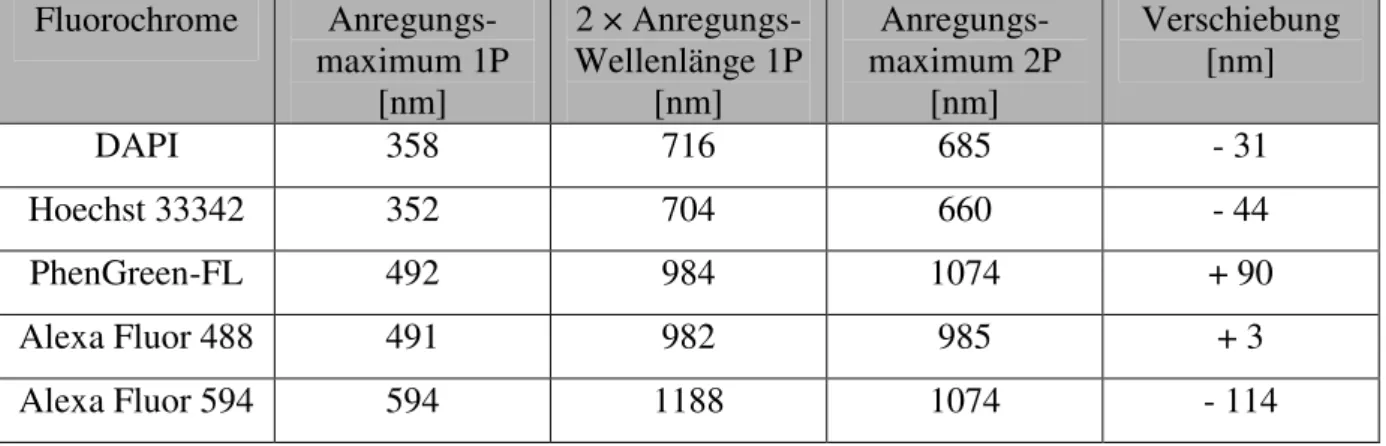 Tabelle  5-7:  Vergleich  der  Absorptionsmaxima  für  verschiedene  Fluoreszenzfarbstoffe  bei  1P-  und  2P- 2P-Anregung (Die Daten wurden aus der Arbeit von Bestvater et al