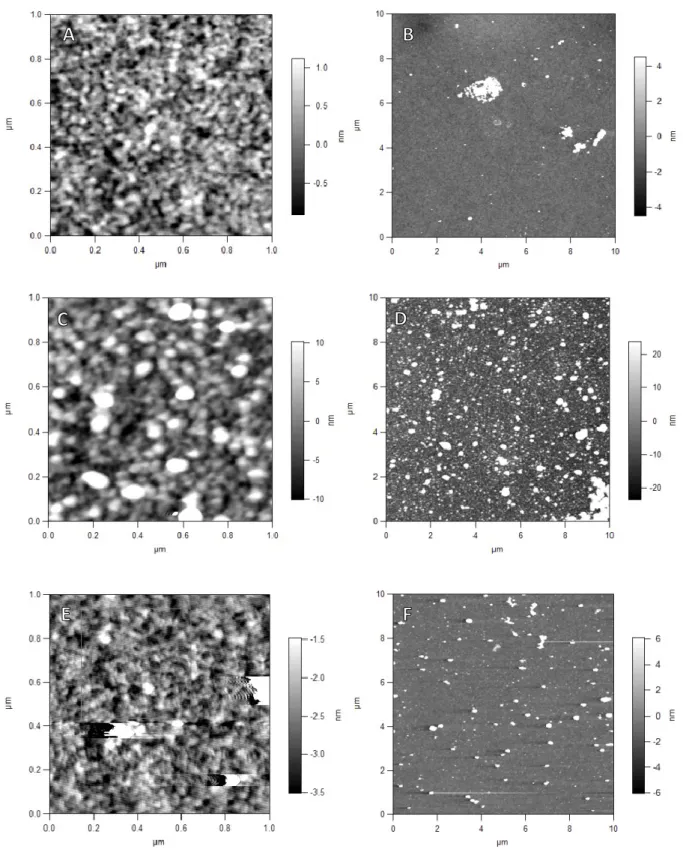 Abbildung 15: AFM-Höhenbilder von silanisierten  Siliziumwafer-Oberflächen.  